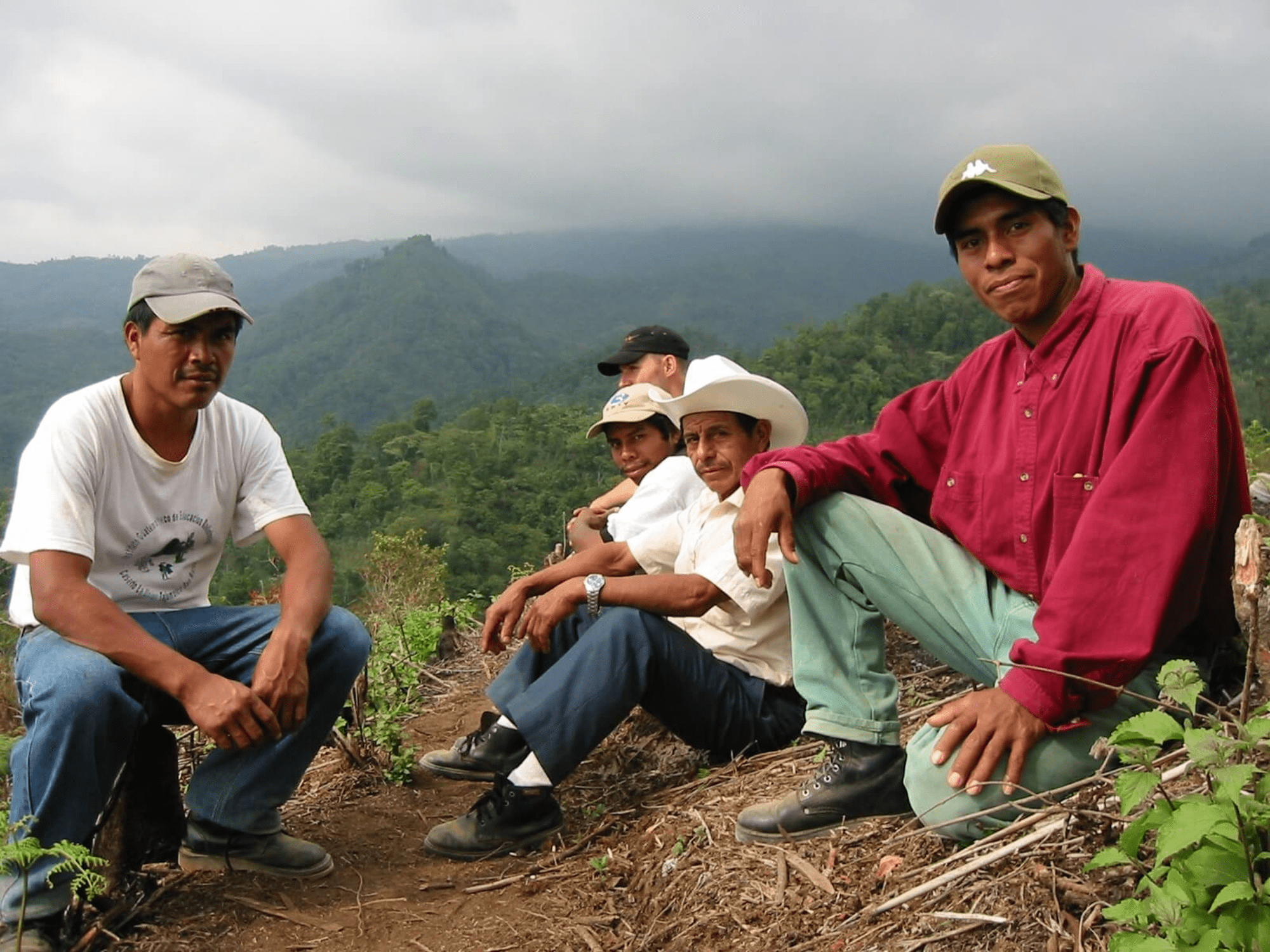 Manos Campesinas - Guatemala - Peace Coffee